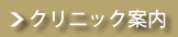 クリニック案内